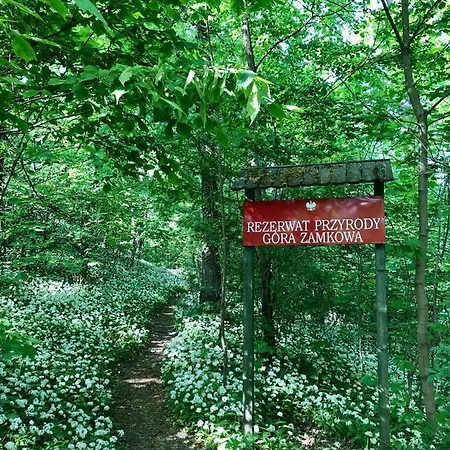 Apartman Dolina Zdrowia U Skrzypkow *